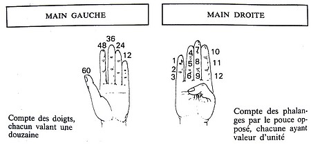 Résultat de recherche d'images pour "numération duodécimale phalanges"